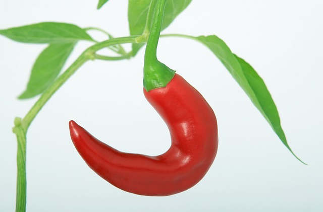 What Benefits Can You Expect To See From Your Weight Loss Plan? 3